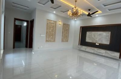 Ground Portion Available For Rent