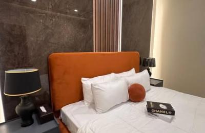 Furnished Apartments and penthouse/Daily Basis