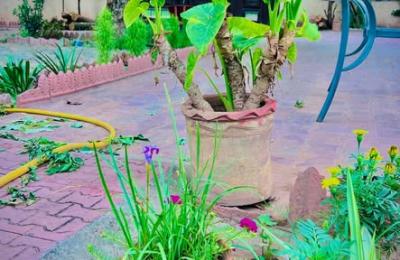 2 kanal House available for Rent
