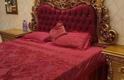 luxury furnish house available for rent