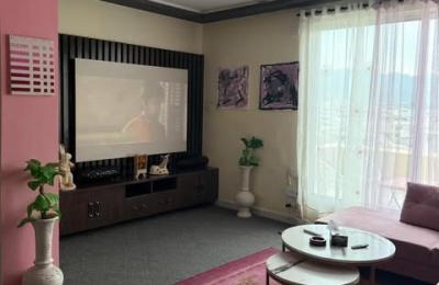 One bed penthouse available in E11/2 medical society.Daily Basis