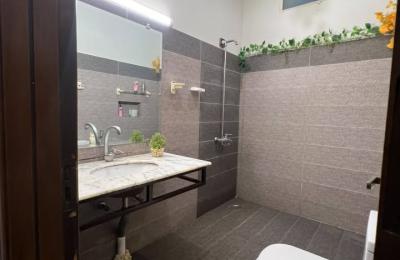 One Bedroom Open Basement Portion Available for Daily & Weekly Rent