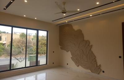 2 KANAL 13 MARLA HOUSE FOR SALE گھر برائے فروخت